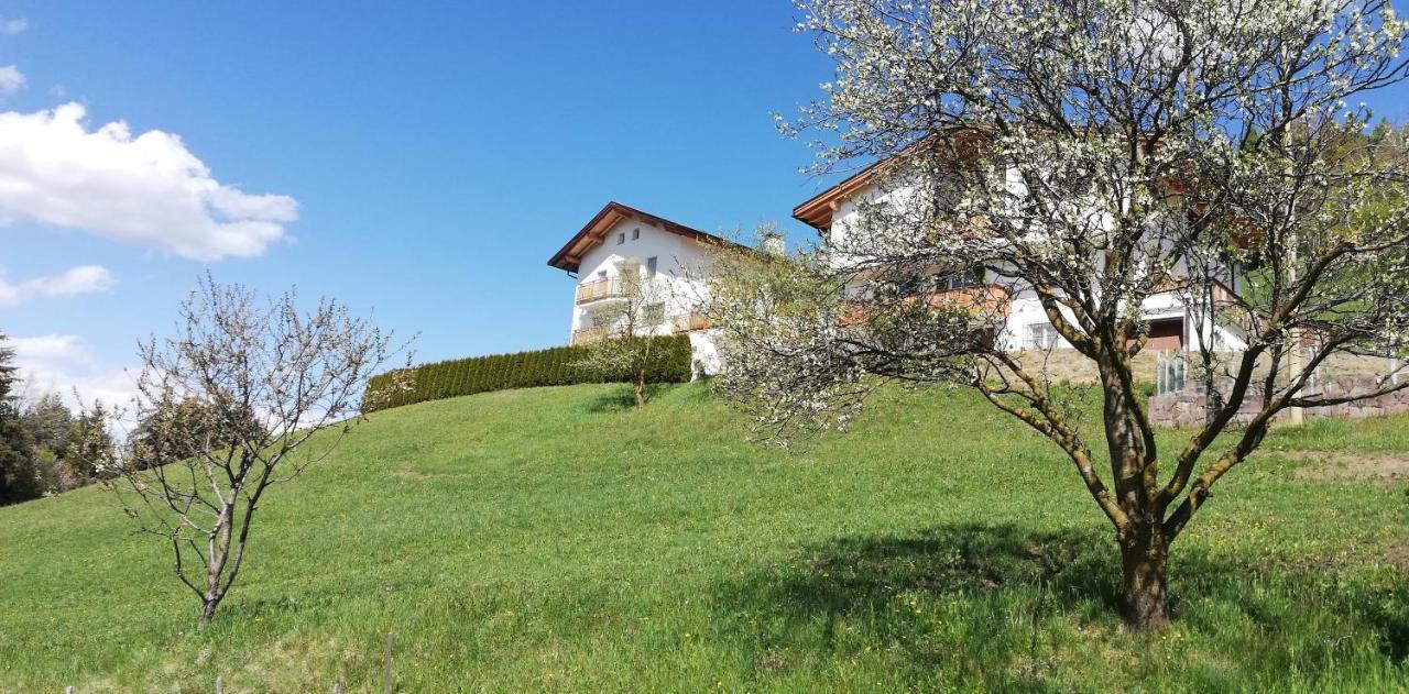Agriturismo Ferienhof Gschloier (Adults Only) Laion Luaran gambar
