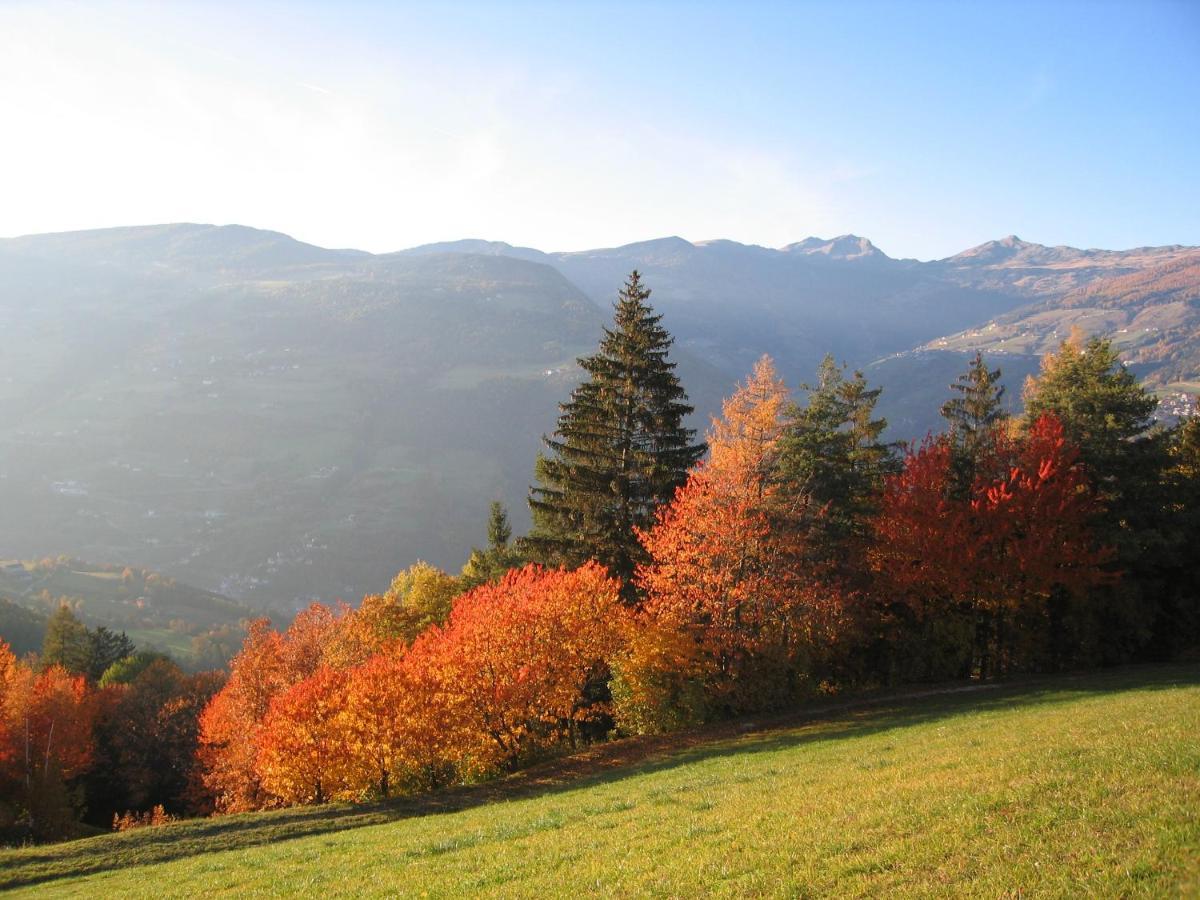 Agriturismo Ferienhof Gschloier (Adults Only) Laion Luaran gambar