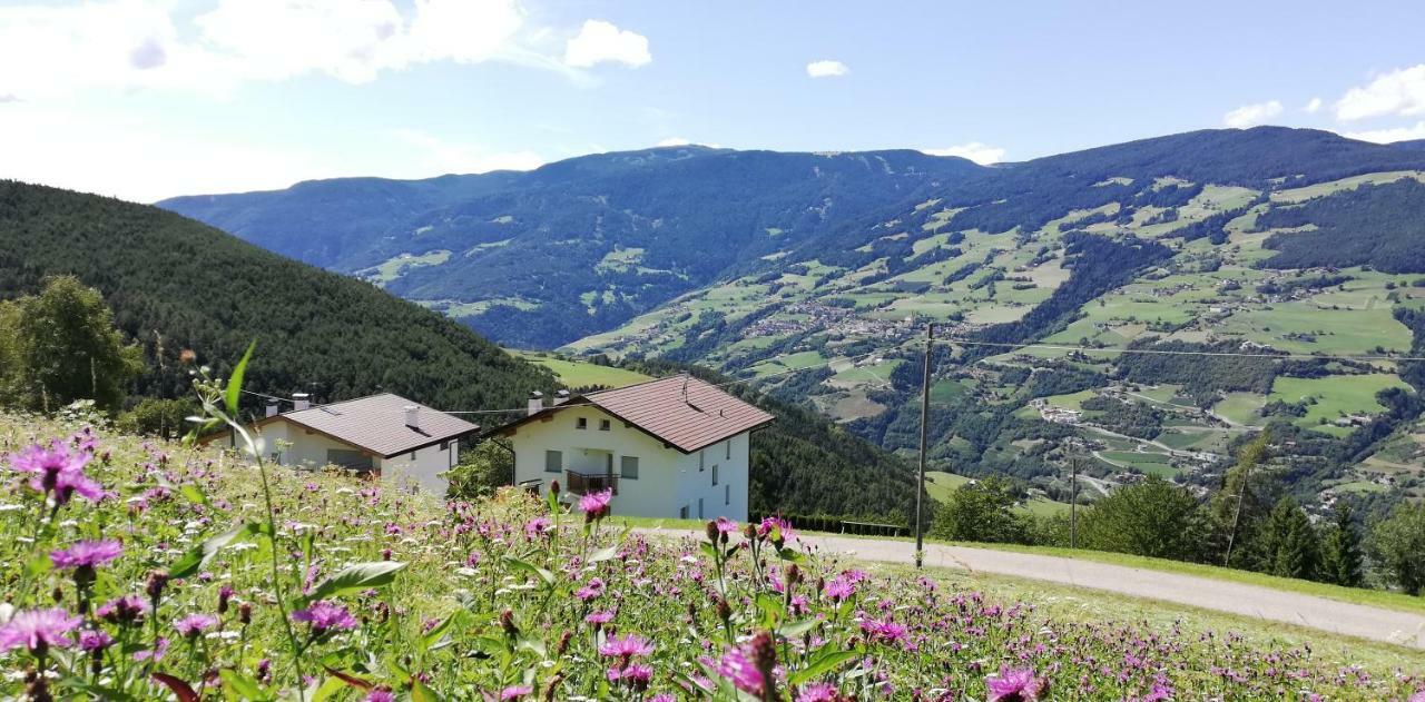 Agriturismo Ferienhof Gschloier (Adults Only) Laion Luaran gambar